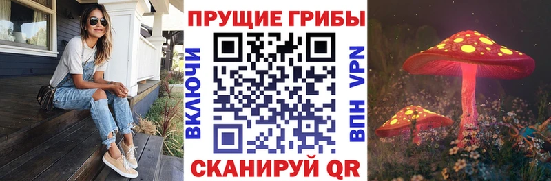Галлюциногенные грибы GOLDEN TEACHER  Иркутск 